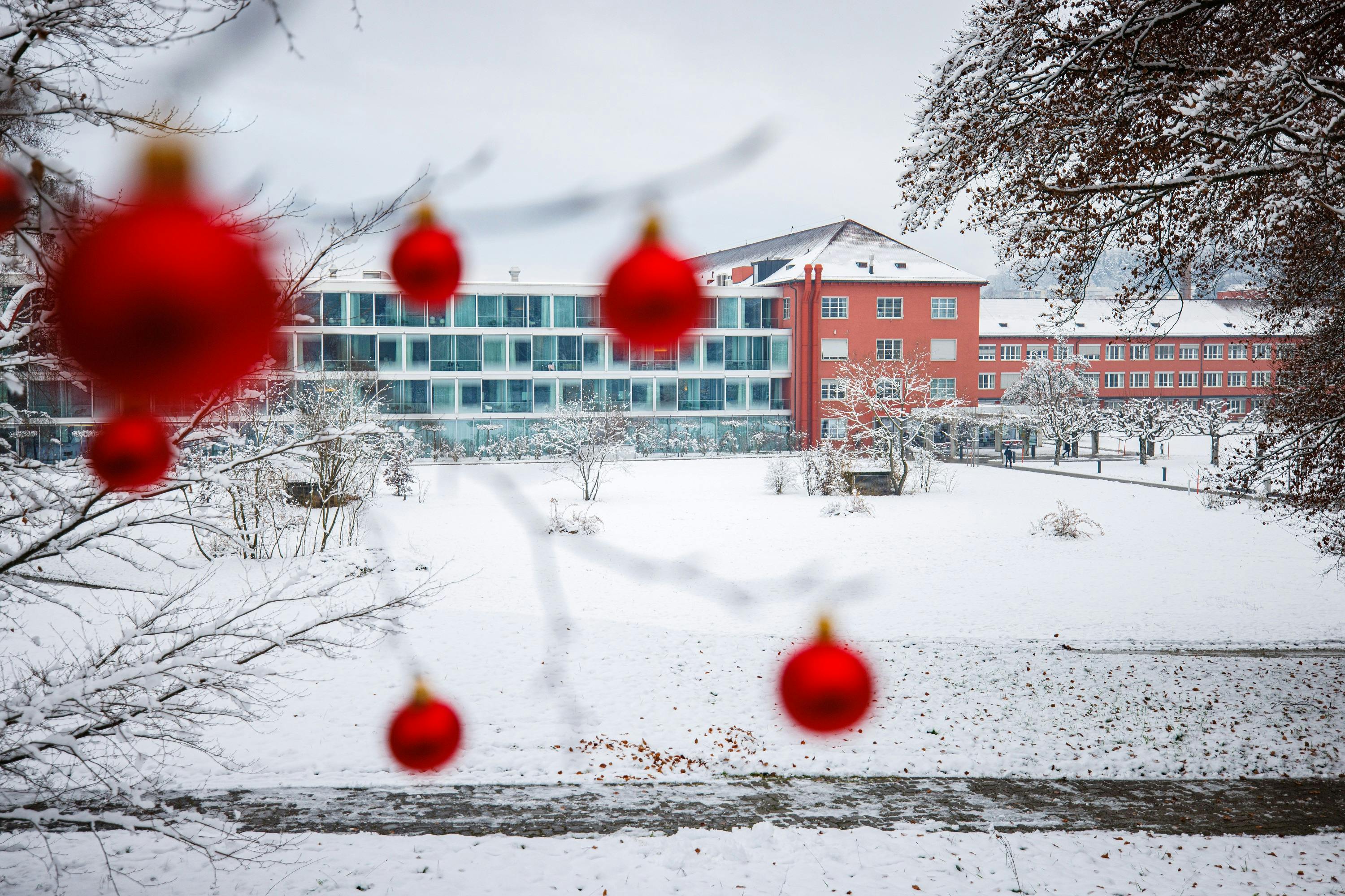 Red Christmas baubles in the foreground with snow-covered parkland and a modern building in the background.
