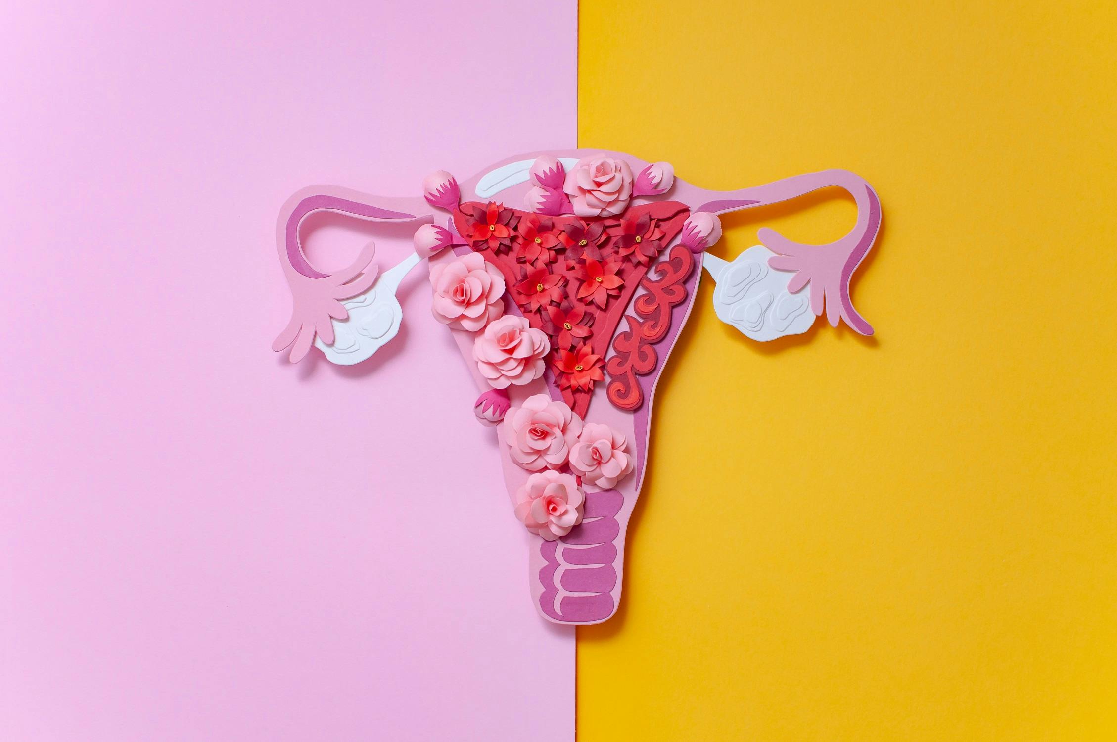 Paper art of a uterus with flowers on a divided pink and yellow background.