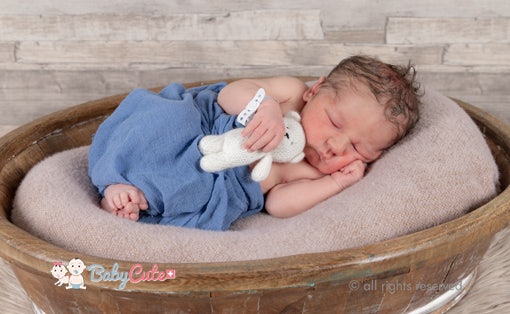 Newborn baby sleeping in shell with cuddly toy.