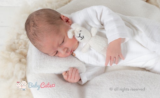 Sleeping newborn baby with cuddly toy.