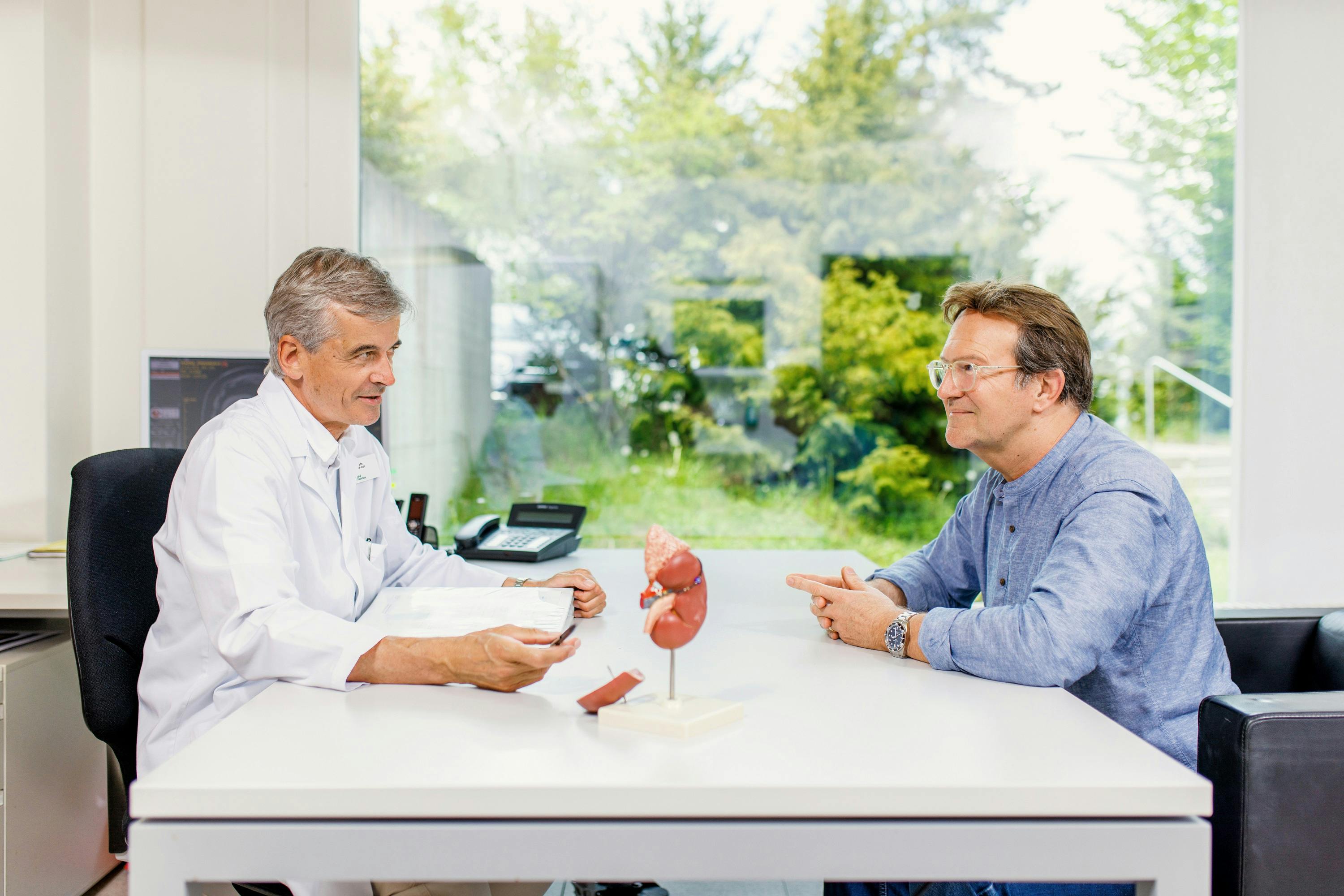 Arzt im Gespräch mit Patienten über ein Nierenmodell in einer Klinik.